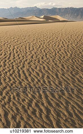 Sand dunes in the desert View Large Photo Image Stock Image - Sand dunes in the desert. Fotosearch