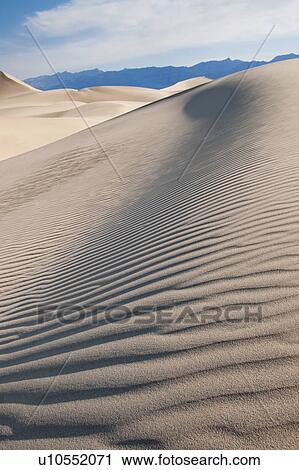 Sand dunes in the desert View Large Photo Image Stock Image - Sand dunes in the desert. Fotosearch