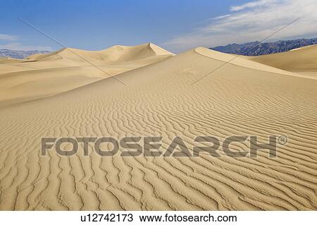Sand dunes in the desert View Large Photo Image Stock Image - Sand dunes in the desert. Fotosearch