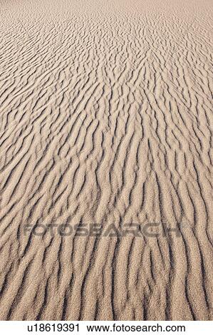 Stock Image - Sand dunes in the desert. Fotosearch