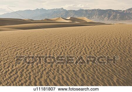 Sand dunes in the desert View Large Photo Image Stock Photo - Sand dunes in the desert. Fotosearch
