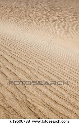 Sand dunes in the desert View Large Photo Image Stock Photo - Sand dunes in the desert. Fotosearch