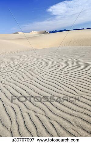 Sand dunes in the desert View Large Photo Image Stock Photo - Sand dunes in the desert. Fotosearch