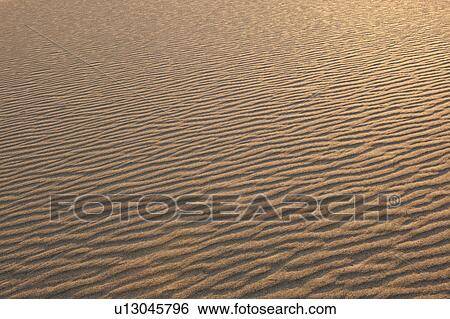 Sand dunes in the desert View Large Photo Image Stock Photograph - Sand dunes in the desert. Fotosearch