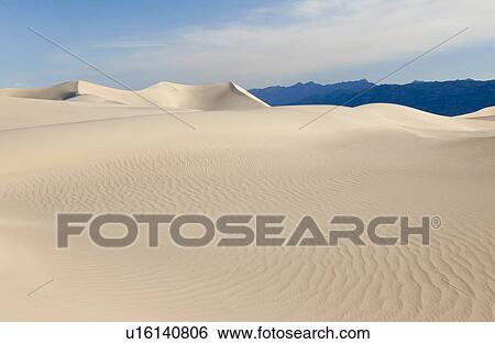 Sand dunes in the desert View Large Photo Image Stock Photograph - Sand dunes in the desert. Fotosearch