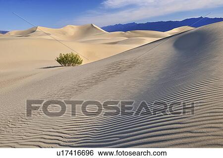 Stock Photograph - Sand dunes in the desert. Fotosearch