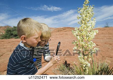 Two young boys at Red Rock View Large Photo Image Stock Image - Two young boys at Red Rock. Fotosearch