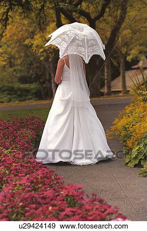 A bride with an umbrella View Large Photo Image Stock Photo - A bride with an umbrella. Fotosearch