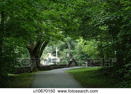 A cottage among trees View Large Photo Image Stock Image - A cottage among trees. Fotosearch