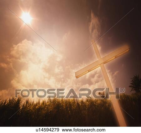 A cross against a field of sugar cane View Large Photo Image Stock Photo - A cross against a field of sugar cane. Fotosearch