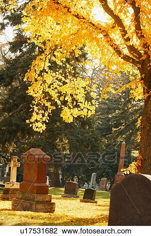 Stock Image - A graveyard in autumn. Fotosearch