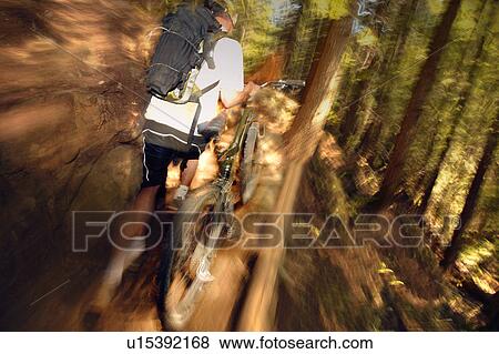 A mountain biker View Large Photo Image Stock Photo - A mountain biker. Fotosearch