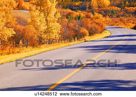 A scenic road in autumn View Large Photo Image Stock Image - A scenic road in autumn. Fotosearch