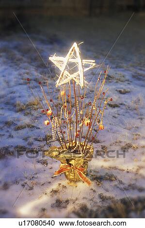 Stock Image - A star in a gift. Fotosearch