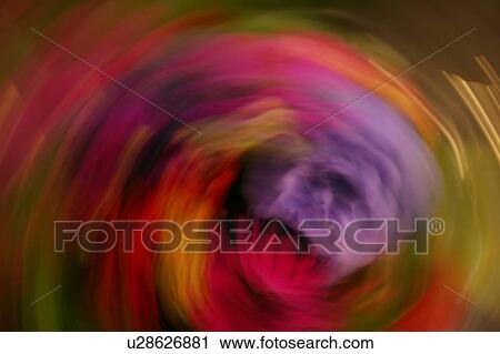 A swirl of color View Large Photo Image Stock Image - A swirl of color. Fotosearch