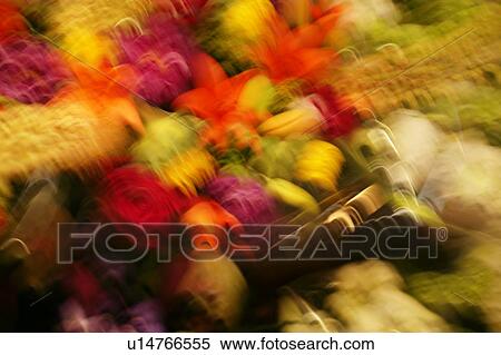 Stock Photography - A swirl of flower colors. Fotosearch