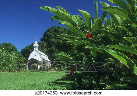 A white church in a rural setting View Large Photo Image Stock Image - A white church in a rural setting. Fotosearch