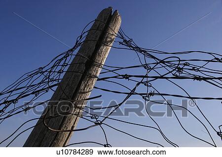 Stock Photo - A wire fence. Fotosearch