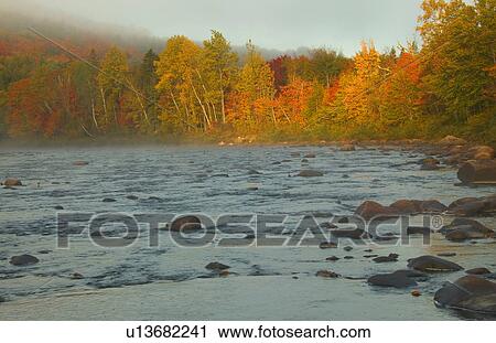 Autumnal trees by the river View Large Photo Image Stock Image - Autumnal trees by the river. Fotosearch