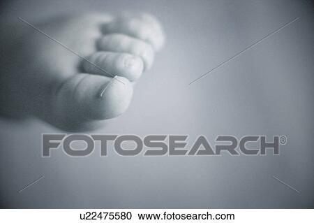 Baby toes View Large Photo Image Stock Image - Baby toes. Fotosearch