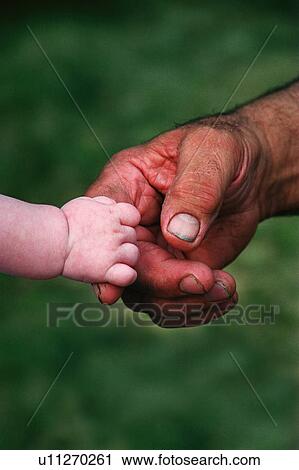 Baby's hand holding on to rough adult hand View Large Photo Image Stock Image - Baby's hand holding on to rough adult hand. Fotosearch