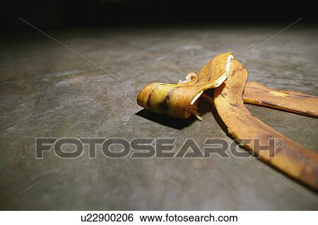 Banana peel on the floor View Large Photo Image Stock Photograph - Banana peel on the floor. Fotosearch