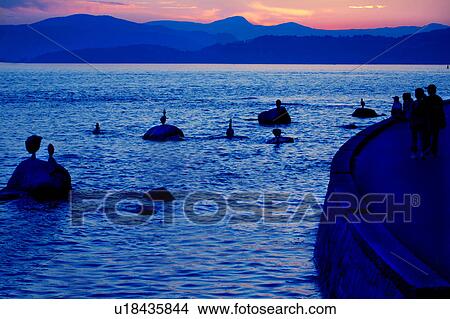 Bird watching at sunset View Large Photo Image Picture - Bird watching at sunset. Fotosearch