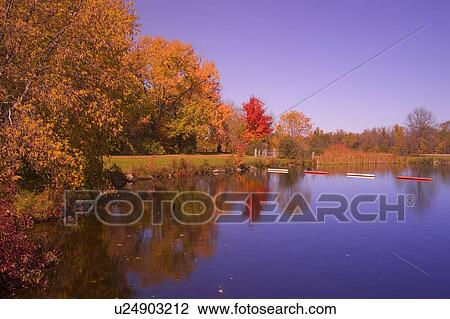 Stock Image - Body of water in Autumn. Fotosearch