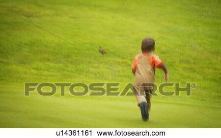 Boy chases bird View Large Photo Image Stock Image - Boy chases bird. Fotosearch