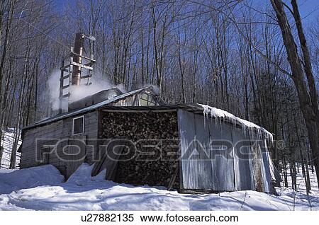 Stock Photography - Cabin in woods. Fotosearch