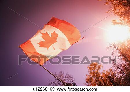 Canadian flag View Large Photo Image Stock Photo - Canadian flag. Fotosearch