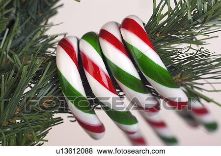 Stock Photo - Candy canes hanging from tree. Fotosearch