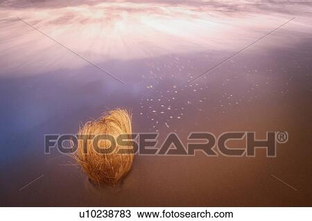 Child moving up to heaven View Large Photo Image Stock Image - Child moving up to heaven. Fotosearch