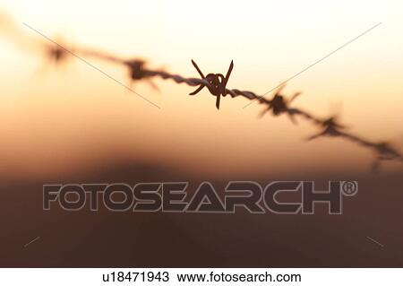 Closeup of a wire fence View Large Photo Image Stock Image - Closeup of a wire fence. Fotosearch