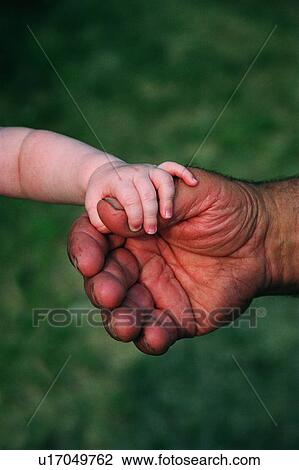 Stock Image - Closeup of baby's hand holding thumb of man's rough hand. Fotosearch