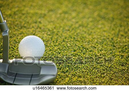Closeup of putter and ball View Large Photo Image Stock Image - Closeup of putter and ball. Fotosearch