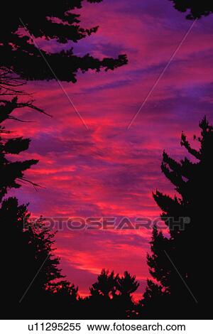 Colourful sunset View Large Photo Image Stock Photography - Colourful sunset. Fotosearch