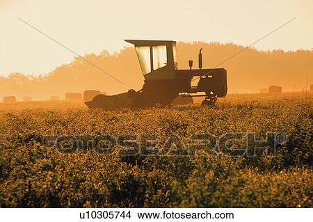 Combine in field View Large Photo Image Picture - Combine in field. Fotosearch