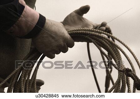 Cowboy preparing lasso View Large Photo Image Stock Photography - Cowboy preparing lasso. Fotosearch