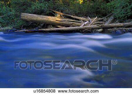 Stock Photo - Creek flowing beside flotsam. Fotosearch