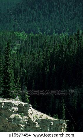 Cyclist on rocky outcropping with forest in background View Large Photo Image Picture - Cyclist on rocky outcropping with forest in background. Fotosearch