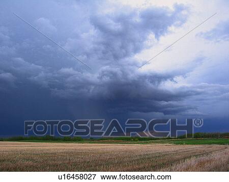 Dark clouds over field View Large Photo Image Stock Photo - Dark clouds over field. Fotosearch
