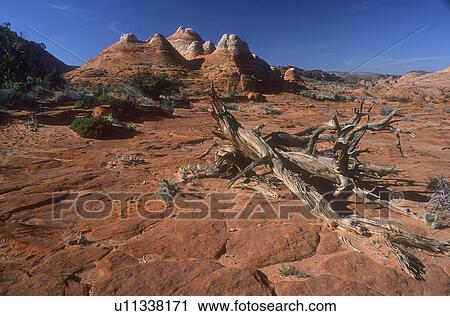 Stock Image - Desert landscape. Fotosearch