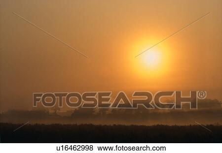 Early morning golden mist View Large Photo Image Stock Photo - Early morning golden mist. Fotosearch