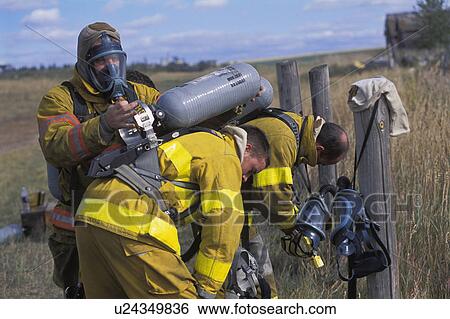 Fireman adjusting equipment on partner View Large Photo Image Stock Photograph - Fireman adjusting equipment on partner. Fotosearch