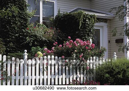 Flowers around house View Large Photo Image Stock Image - Flowers around house. Fotosearch