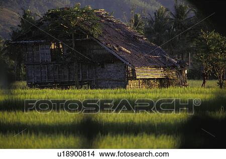 Grass Roof building View Large Photo Image Picture - Grass Roof building. Fotosearch