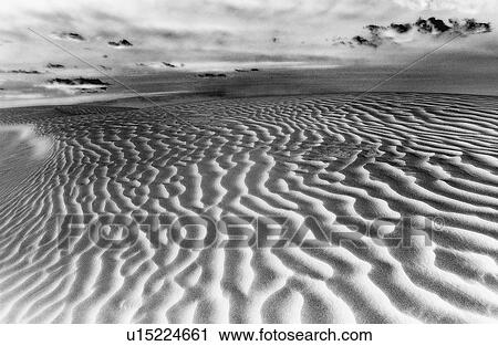 Great Sand hills at sunrise Saskatchewan Canada View Large Photo Image Stock Image - Great Sand hills at sunrise Saskatchewan Canada. Fotosearch