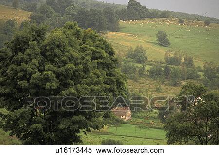 Green rolling hills View Large Photo Image Stock Photography - Green rolling hills. Fotosearch