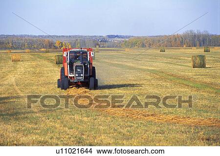 Heavy machinery makes bales of hay View Large Photo Image Picture - Heavy machinery makes bales of hay. Fotosearch